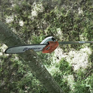 Tree Pruning & Deadwooding